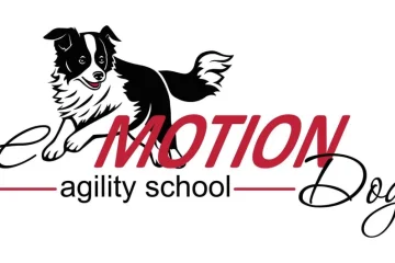 Аджилити-манеж eMotionDog фотография 2